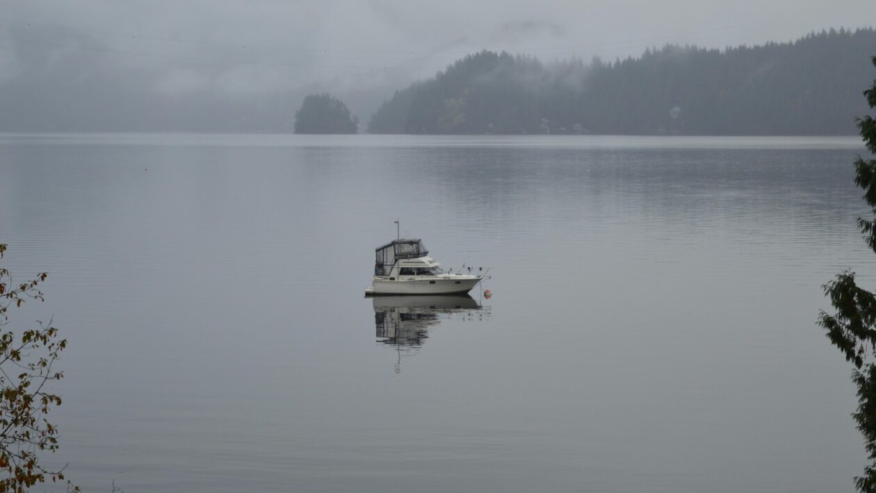 Exponovaná digitálna identita: Audit užívateľských návykov a ich informačná hodnota