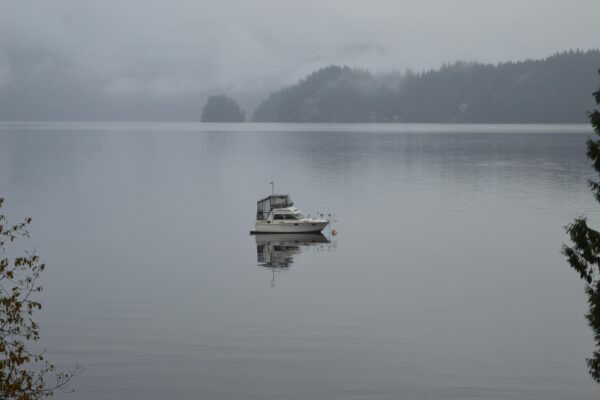 Exponovaná digitálna identita: Audit užívateľských návykov a ich informačná hodnota