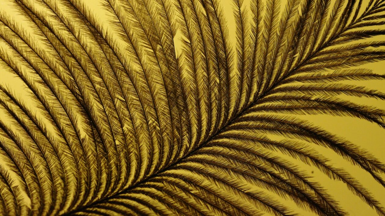 Právo na výmaz (Right to Erasure): Kriteriálna analýza úspešnosti a procesné lehoty