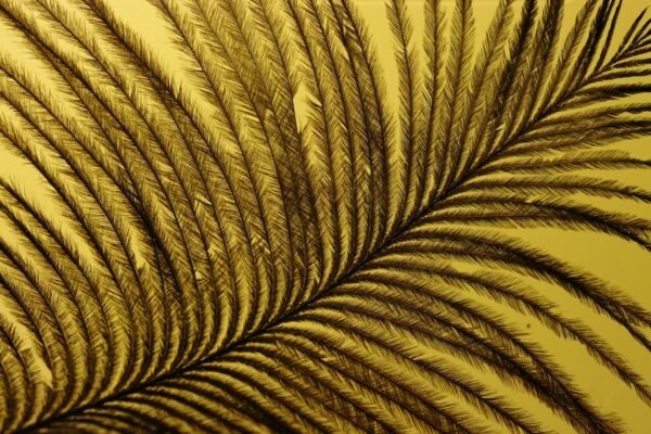 Právo na výmaz (Right to Erasure): Kriteriálna analýza úspešnosti a procesné lehoty