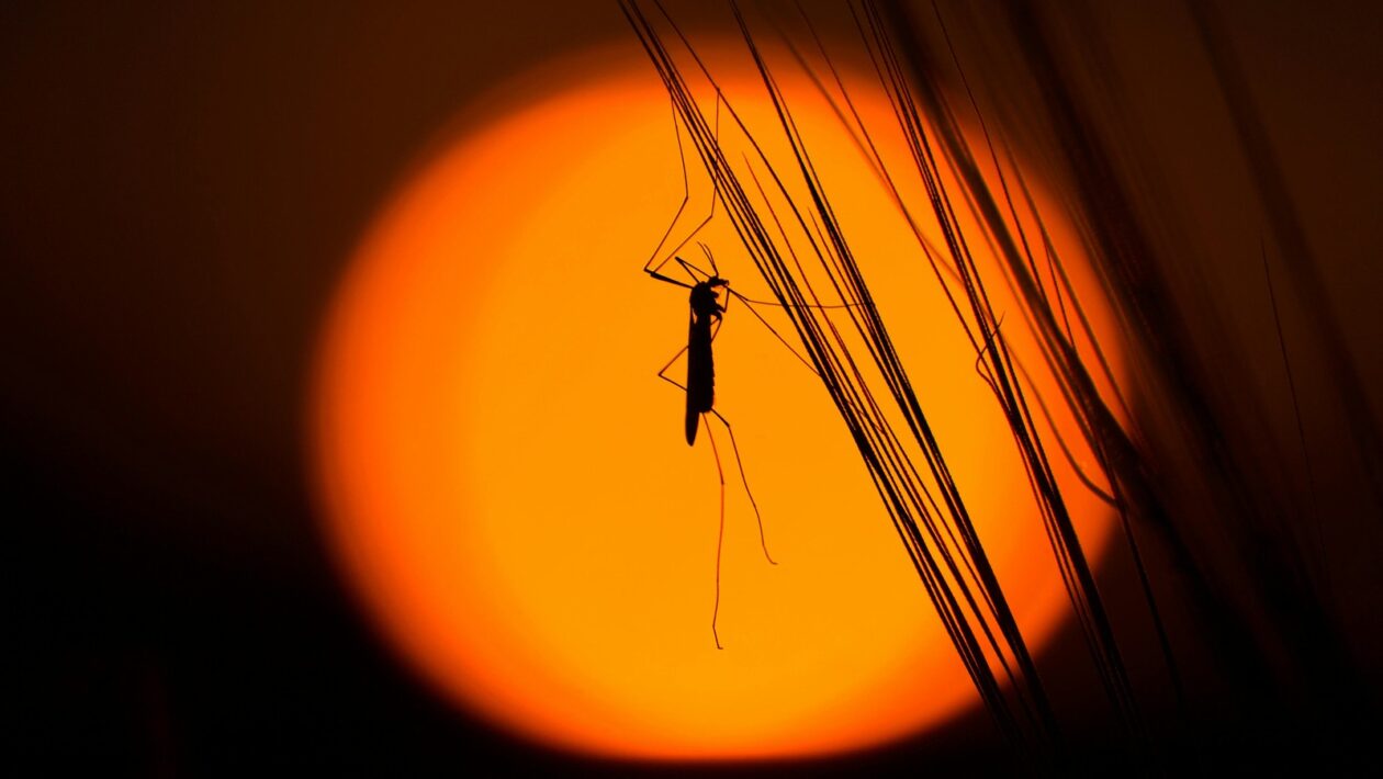 Zálohovanie s ohľadom na súkromie: Šifrované úložiská a aplikácia 3-2-1 pravidla