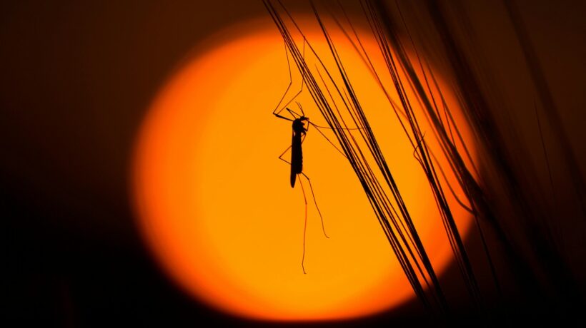 Zálohovanie s ohľadom na súkromie: Šifrované úložiská a aplikácia 3-2-1 pravidla