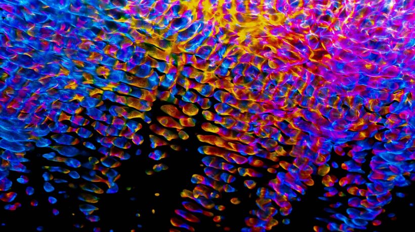 Logy a auditné stopy: Kritériá pre zber, zabezpečenie a ochrana integrity dát