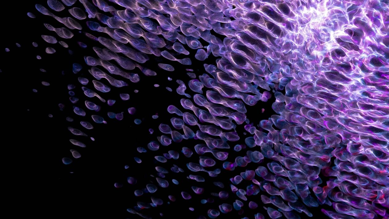 Anonymizácia dát: Identifikácia bežných chýb a rizík re-identifikácie