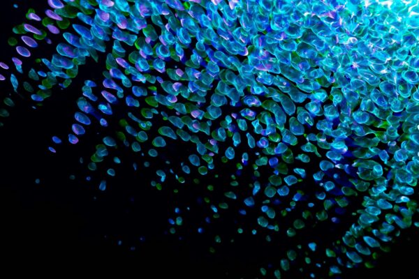 Etika obchádzania (Circumvention): Právne a etické aspekty nedovoleného prístupu