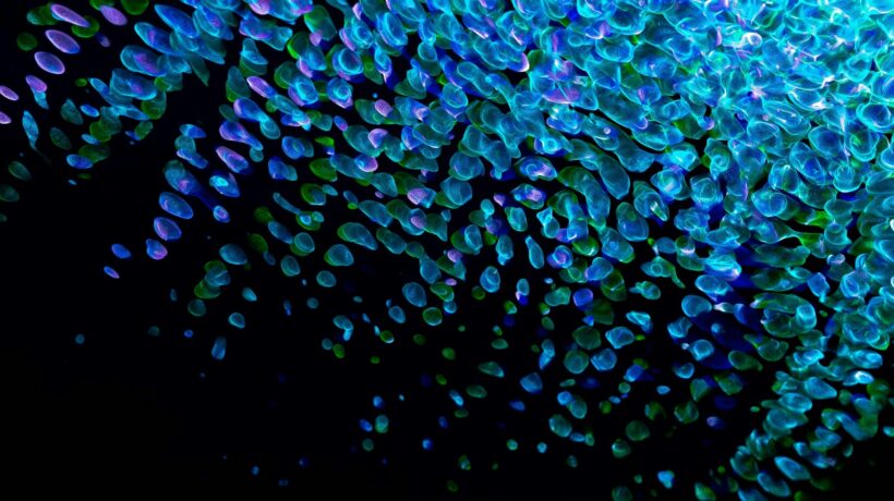 Etika obchádzania (Circumvention): Právne a etické aspekty nedovoleného prístupu