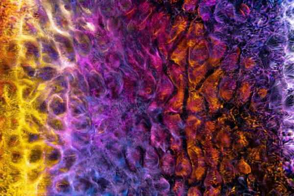 Geo-bloky a geografické obmedzenia: Právny rámec a zodpovedný postoj k ich prekonávaniu