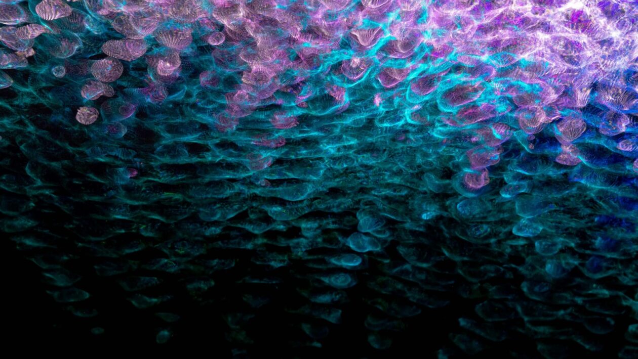 Komunikácia s administrátorom: Prevencia obchádzania firemných firewallov a filtrov