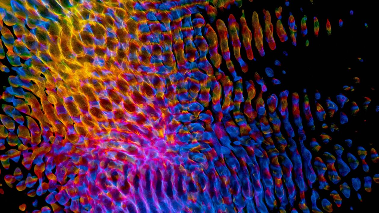 Medzinárodné zdieľanie dokumentov: Právne a politické aspekty dátovej suverenity