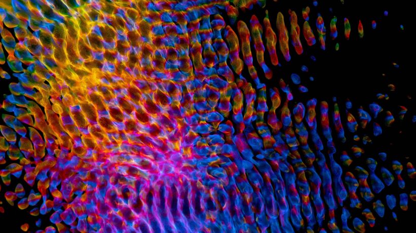 Medzinárodné zdieľanie dokumentov: Právne a politické aspekty dátovej suverenity