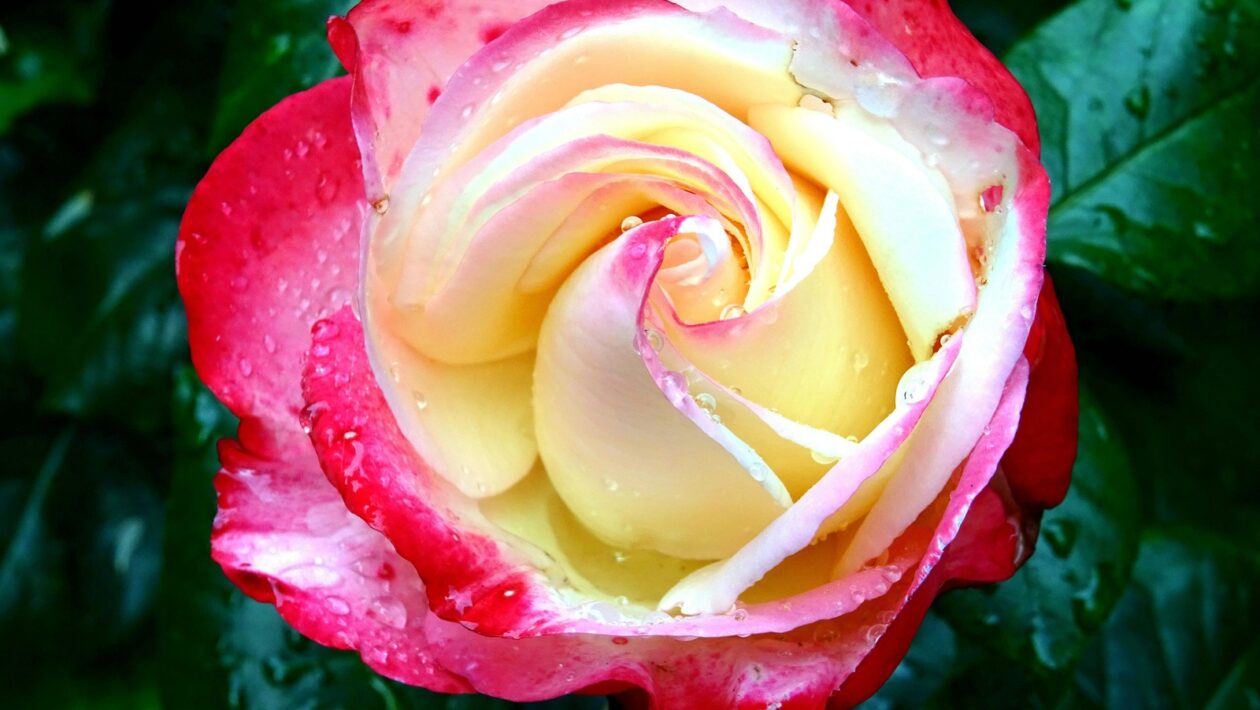 Opálenie bez rizika: Spotrebiteľská ochrana a zavádzajúce tvrdenia o soláriách