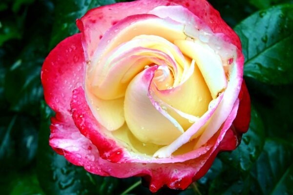 Opálenie bez rizika: Spotrebiteľská ochrana a zavádzajúce tvrdenia o soláriách