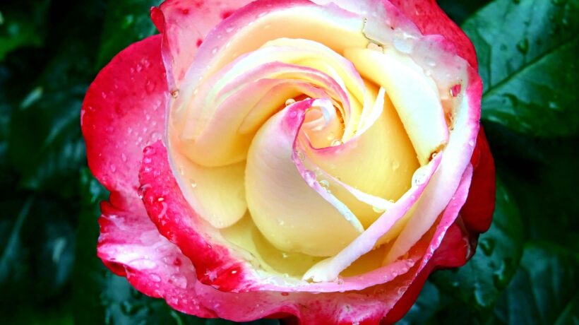 Opálenie bez rizika: Spotrebiteľská ochrana a zavádzajúce tvrdenia o soláriách