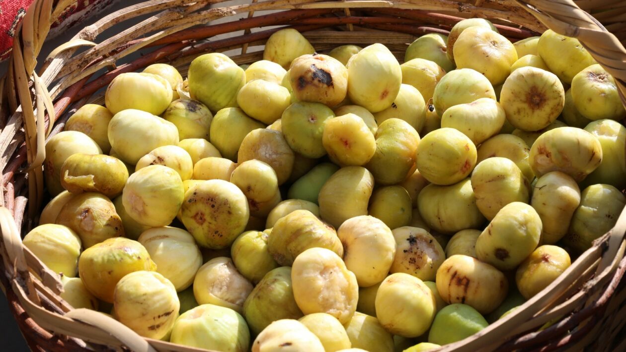 Predaj kontaktných databáz B2B: Súlad s GDPR, overenie pôvodu a súhlasu