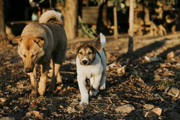 E-mailové rozosielky: Overenie opt-in súhlasu a právne limity získavania kontaktov