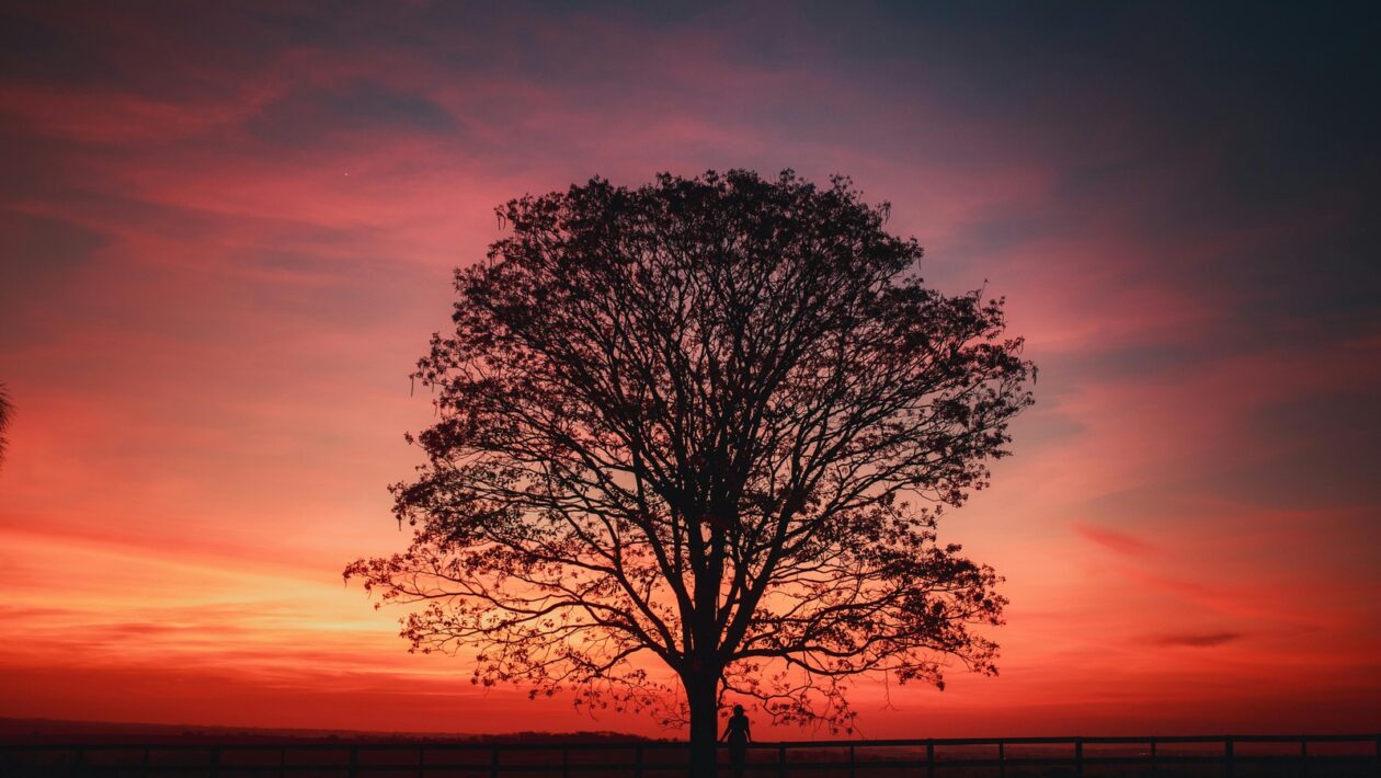 Vplyv umelej inteligencie (AI) na integritu médií: Deepfake videá a generatívne modely