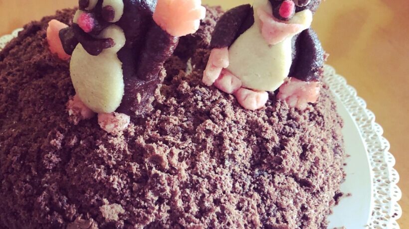 Regulácia súkromia v Smart Home Security: Nastavenie zón a povinnosť informovania návštevníkov