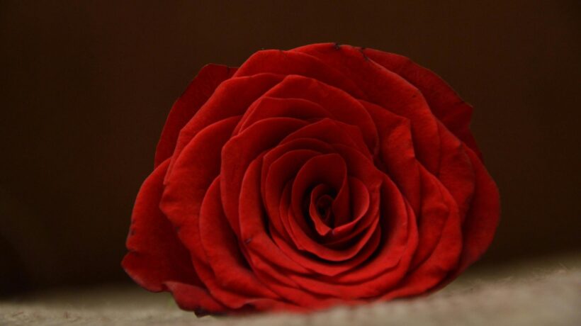 Logy a auditné stopy: Kritériá zberu, retencie a bezpečnostná ochrana