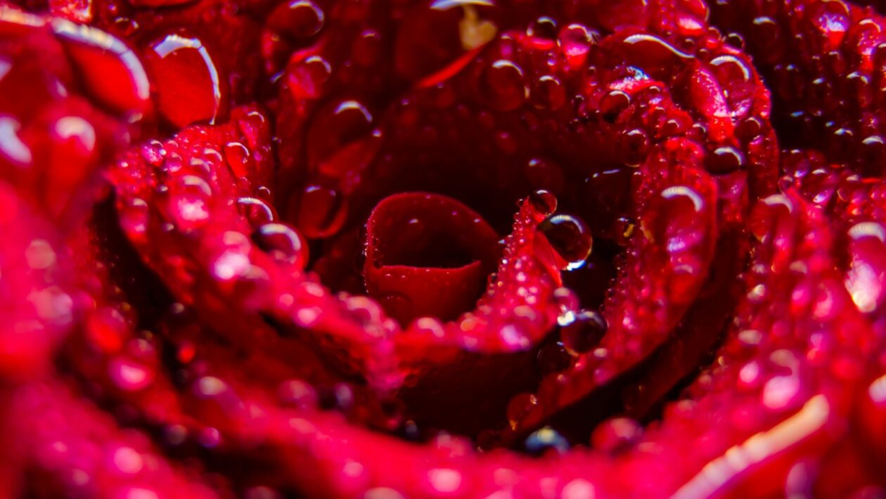 Hreflang implementácia bez chýb: Kontrolný zoznam desiatich kritických bodov