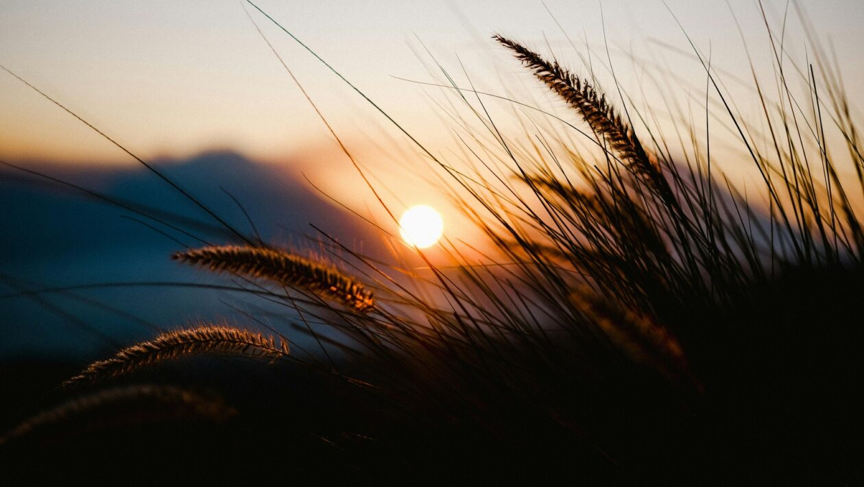 Stránky s nulovým výsledkom (Zero Search Results): Kedy ich indexovať a kedy vylúčiť