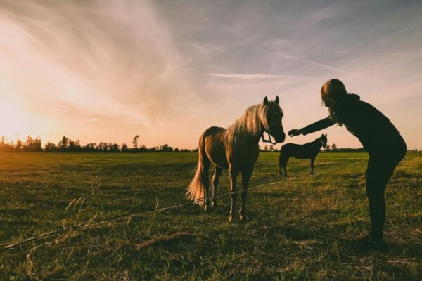 Product schema do hĺbky: Štruktúrovanie variantov, dostupnosti a cenovej informácie