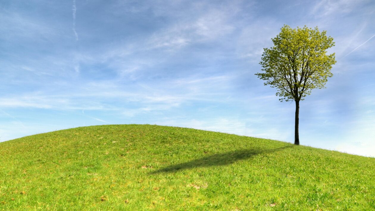 Odlíšenie originálneho obsahu od agregátu: Implementácia anti-scrape signálov