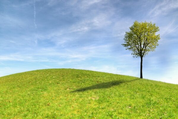 Odlíšenie originálneho obsahu od agregátu: Implementácia anti-scrape signálov