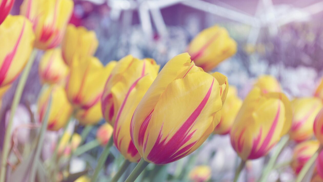 Evidence pack: Komplexný balík dát/dôkazov na stiahnutie