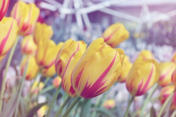 Evidence pack: Komplexný balík dát/dôkazov na stiahnutie