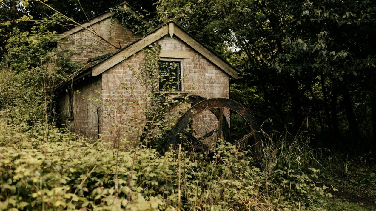 Citácia zdroja: Odkaz na primárny dokument alebo vedeckú štúdiu