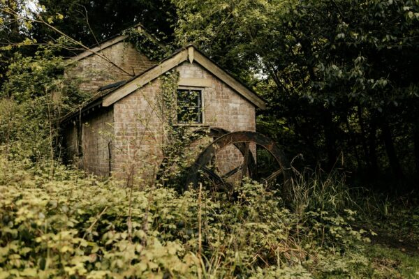 Citácia zdroja: Odkaz na primárny dokument alebo vedeckú štúdiu
