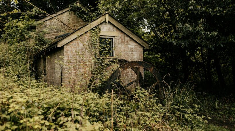 Citácia zdroja: Odkaz na primárny dokument alebo vedeckú štúdiu