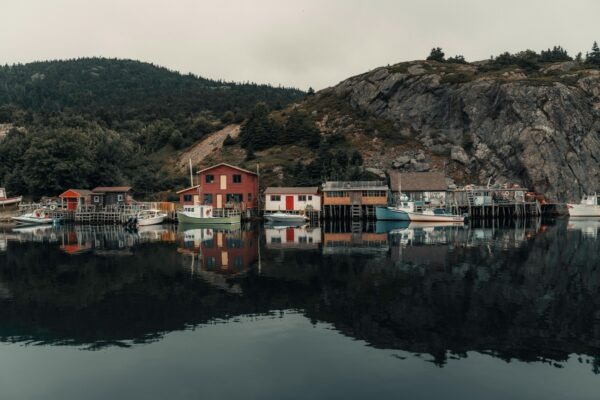 Alt text: Popis obrázka pre prístupnosť a SEO