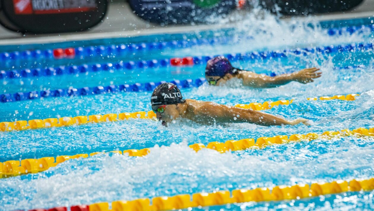 Dataset download: CSV/JSON na podporu citácií