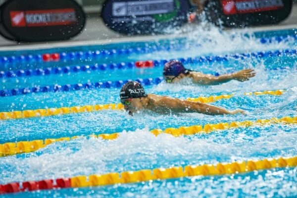 Dataset download: CSV/JSON na podporu citácií