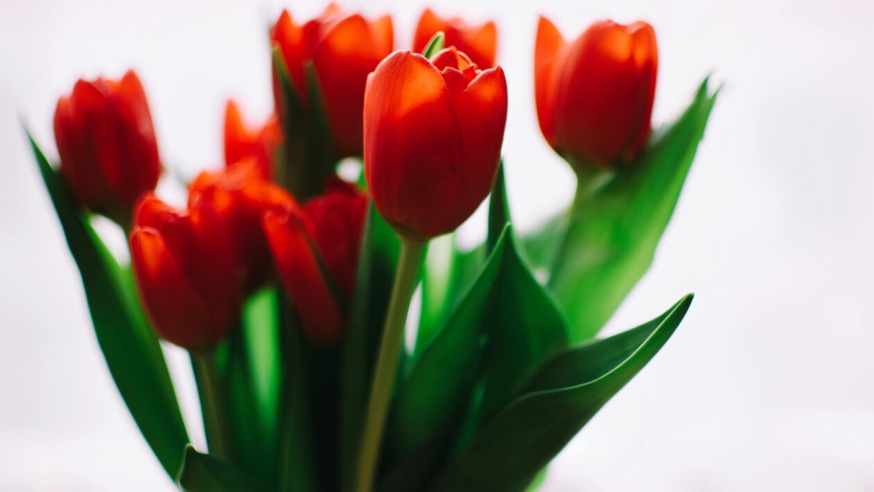 Automatizace IT procesů: Skriptování a workflow management