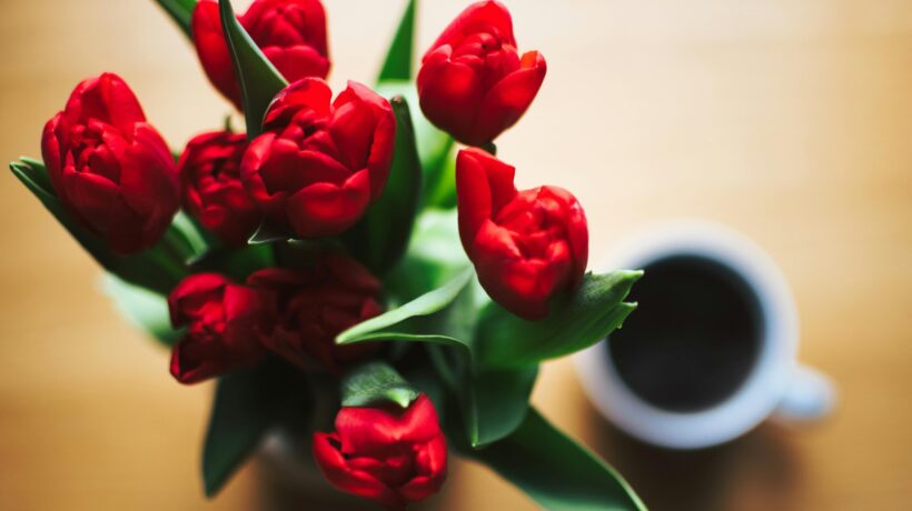 Správa konfigurací (Ansible, Puppet, Chef): Infrastruktura jako kód