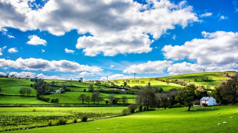 Hybridní mobilní vývoj (Flutter, React Native): Komparace platforem