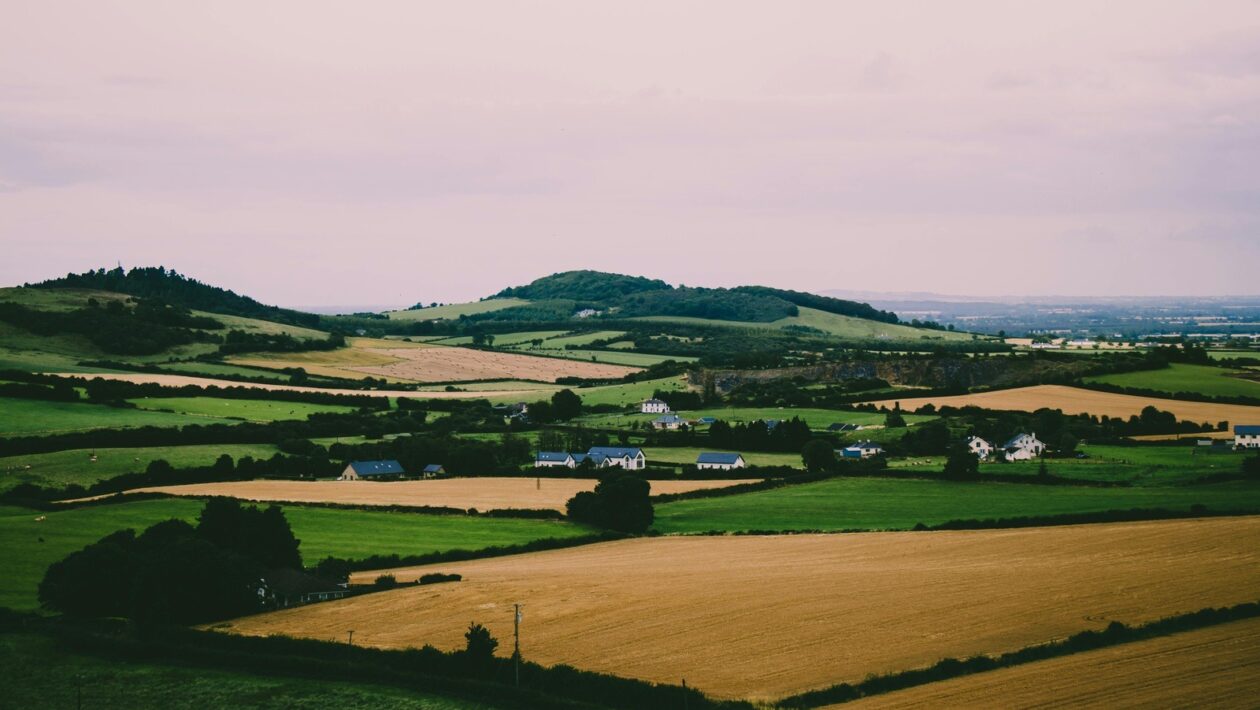 Marketing ako nástroj konkurenčnej výhody: Diferenciácia a pozicioning