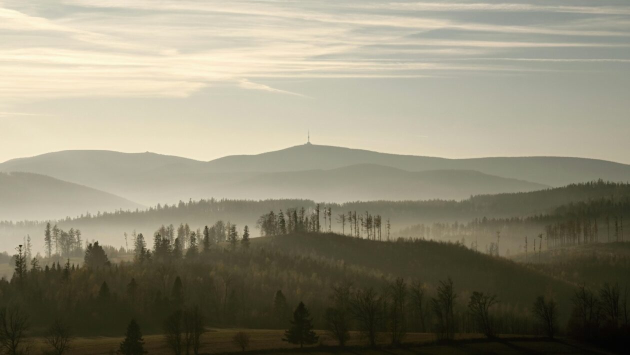 Blogový marketing a SEO články: Tvorba autoritatívneho obsahu