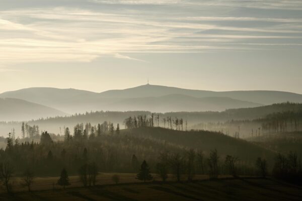 Blogový marketing a SEO články: Tvorba autoritatívneho obsahu