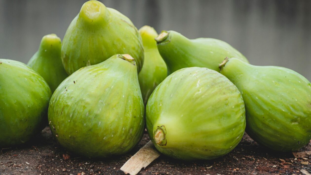 Základy umělé inteligence (AI): Principy, metodologie a praktické aplikace