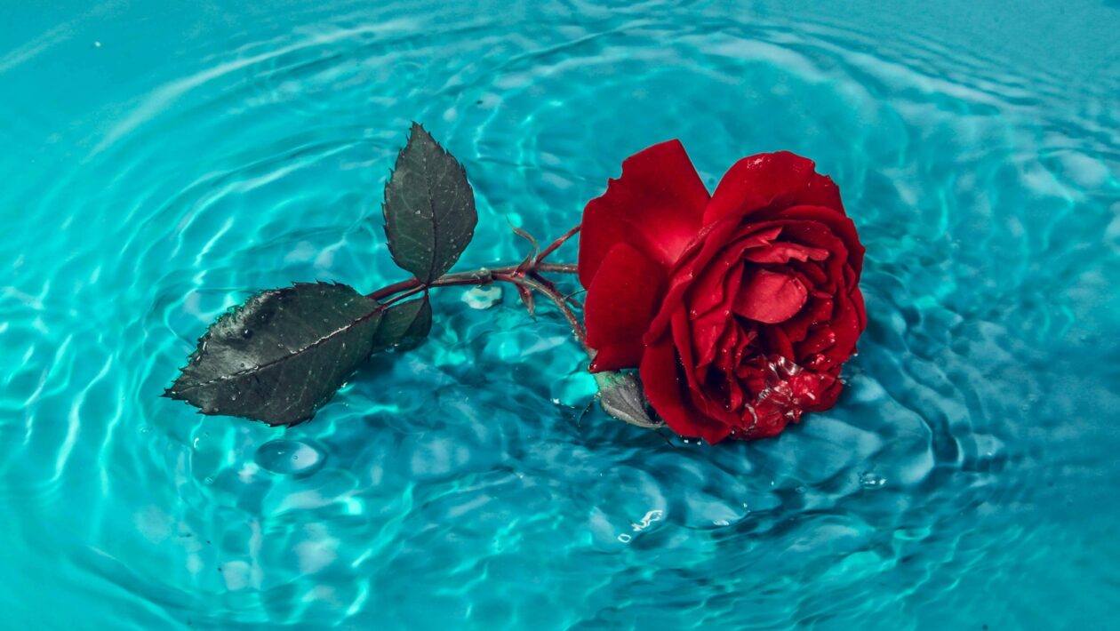 Neuronové sítě: Principy fungování, aktivace a architektura