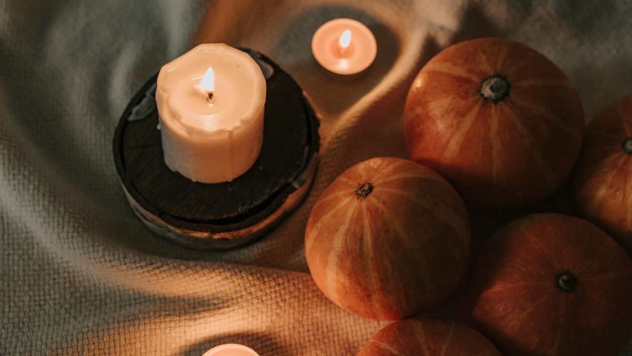 Nástroje pro datovou analýzu: Excel, Python (Pandas) a Power BI/Tableau