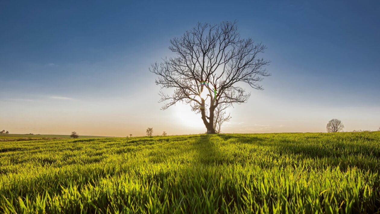 Administrace Windows Serveru: Základy a klíčové služby