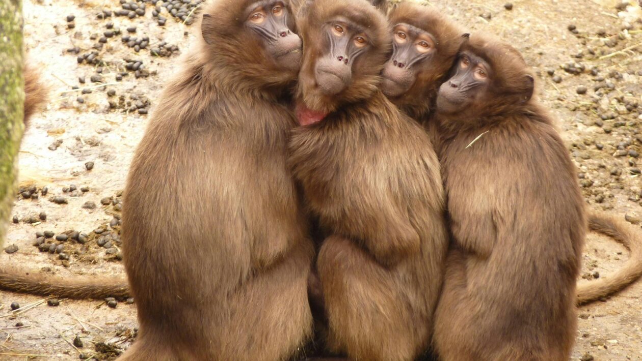 Návrh efektivního a bezpečného REST API: Konvence a best practices