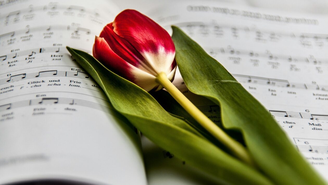 Klávesová navigace a čtečky obrazovky: Interakce