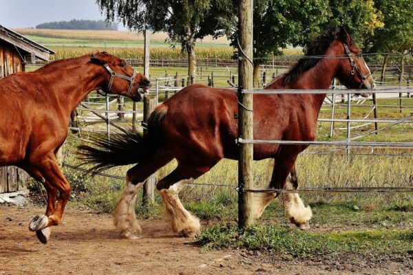 Webová analytika pomocí Google Analytics 4 (GA4): Metriky