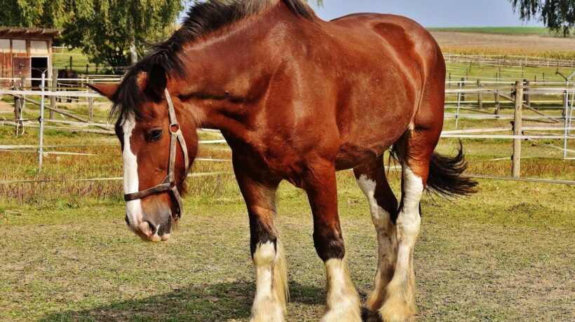 Automatizace marketingových kampaní: Nástroje