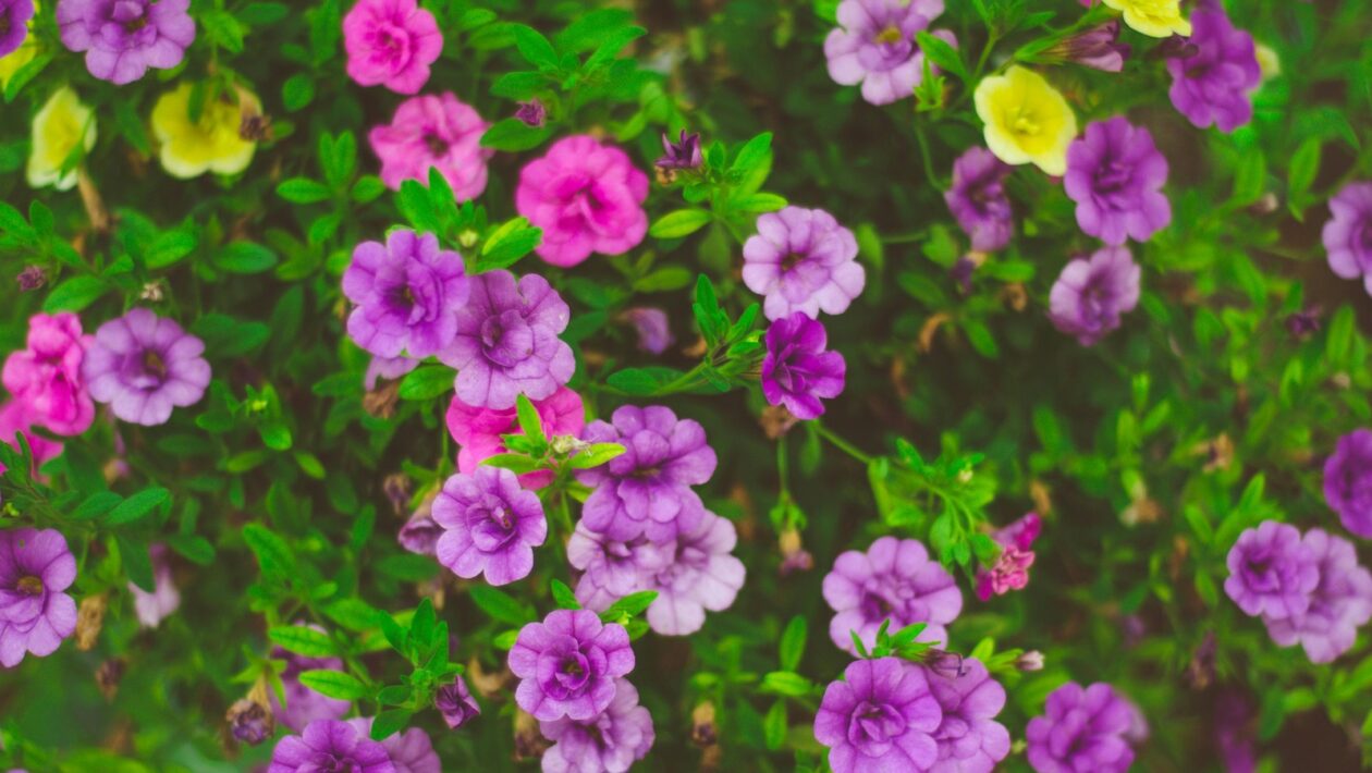 Tvorba CI/CD pipeline krok za krokem: Automatizace